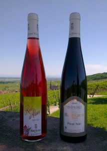 Pinot Noir - Rosé d'Alsace